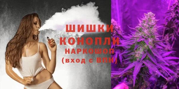 spice Белокуриха