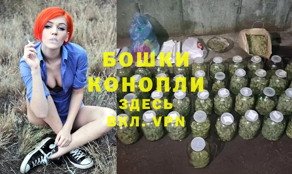 PSILOCYBIN Лиски