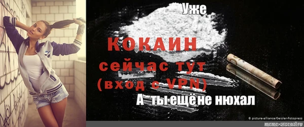 круглые Корсаков