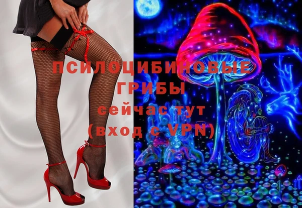 spice Белокуриха